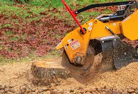Best Lawn Pest Prevention  in Halfway, MD